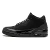 Air Jordan 3 