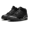Air Jordan 3 
