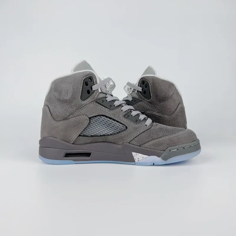 Air Jordan 5 