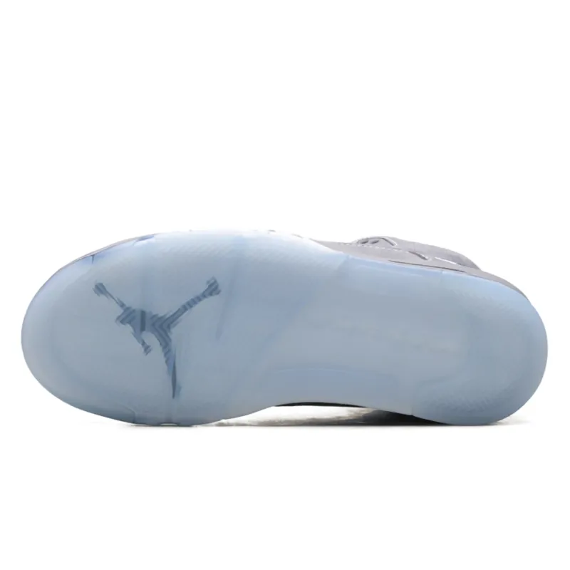 Air Jordan 5 