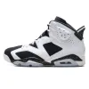 Air Jordan 6 