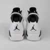 Air Jordan 6 
