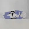 Air Jordan 6 