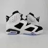 Air Jordan 6 