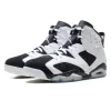 Air Jordan 6 