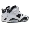 Air Jordan 6 