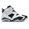 Air Jordan 6 