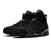 Air Jordan 6 
