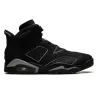 Air Jordan 6 