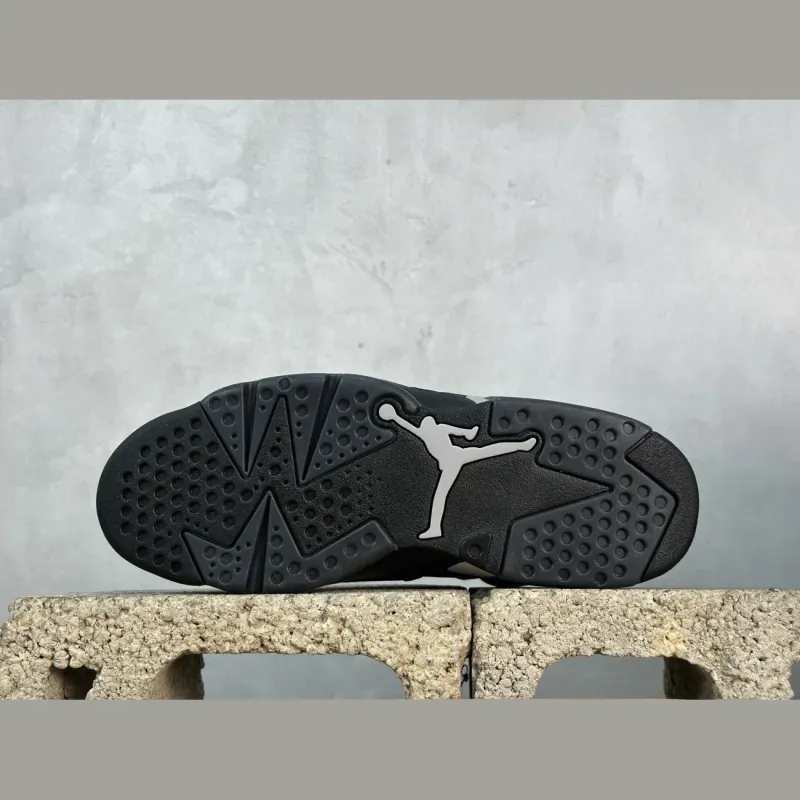 Air Jordan 6 