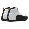 Air Jordan 12 