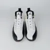 Air Jordan 12 