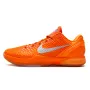 Nike Kobe 6 Protro 