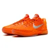 Nike Kobe 6 Protro 