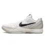 Nike Kobe 6 Protro 
