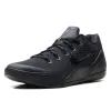 Nike Kobe 9 Elite Low EM Protro TB 