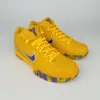 Nike Zoom Kobe 4 Protro Draft Day Pack Los Angeles Lakers GX Batch Factory