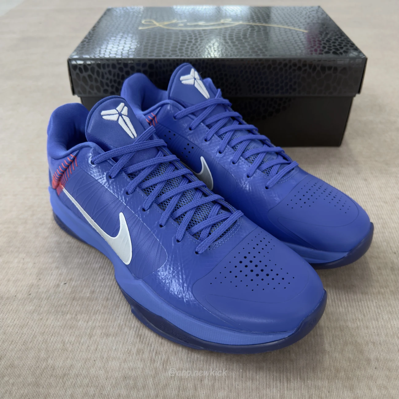 Nike Kobe 5 Protro Dodgers Io6256 400 (4) - www.newkick.org Nike Kobe 5 Protro Dodgers Io6256 400 (4) - www.newkick.org